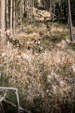 Ciock_Vedeler_23-72