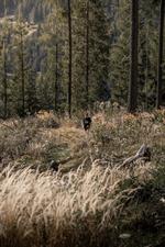 Ciock_Vedeler_23-73