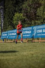 Set_Mases_25-239